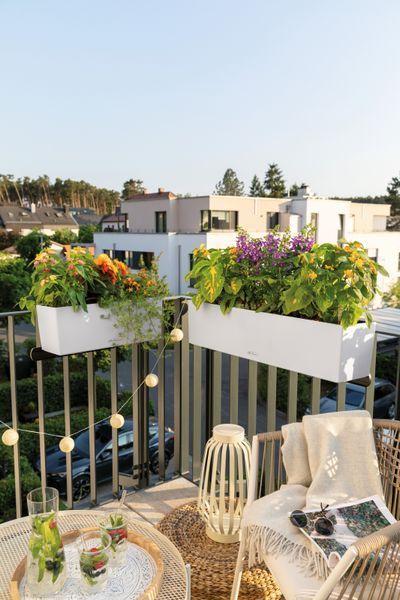 Розумний вазон з автополивом Lechuza BALCONERA Color 40 сірий 15478 фото
