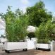 Розумний вазон з автополивом Lechuza TRIO Cottage 30 граніт 15003 фото 9