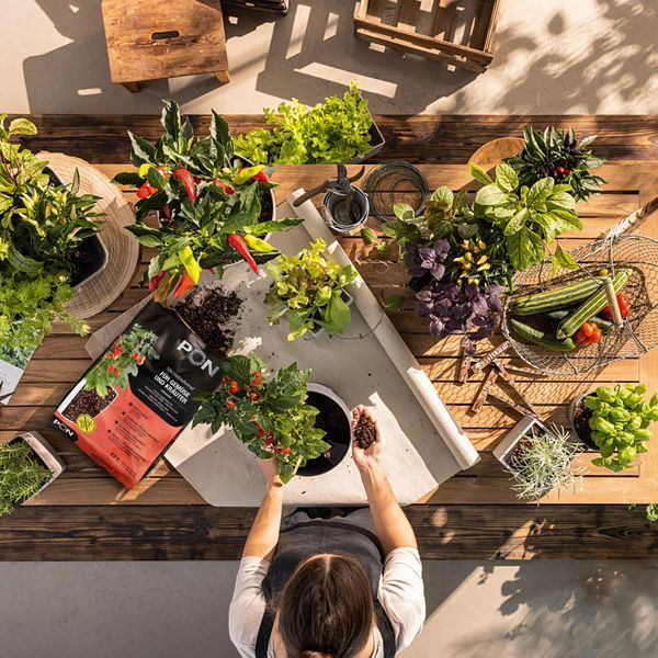Субстрат Lechuza VEGGIEPON 12 л 19592 фото