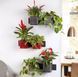 Розумний вазон з автополивом Lechuza Green Wall Home Kit Glossy антрацитовий блискучий 13524 фото 7