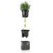 Розумний вазон з автополивом Lechuza Green Wall Home Kit Glossy антрацитовий блискучий 13524 фото 2