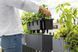 Розумний вазон з автополивом Lechuza BALCONERA Cottage 40 світло-сірий 15473 фото 9
