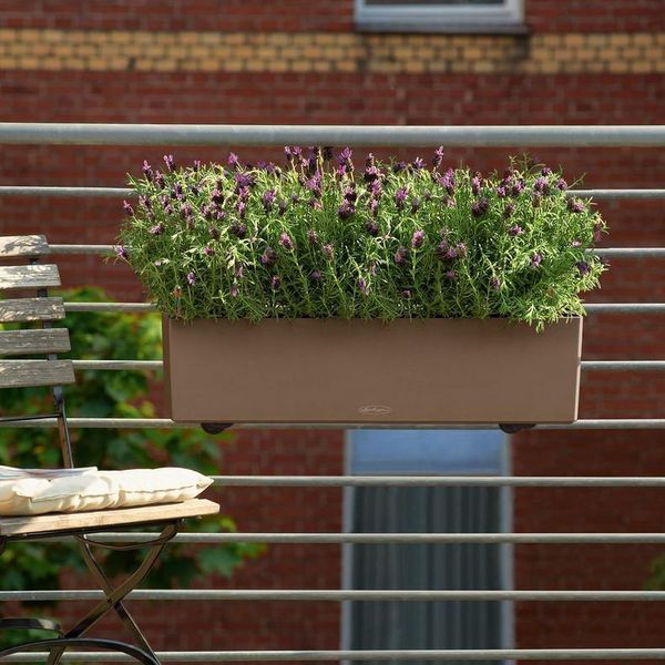 Розумний вазон з автополивом Lechuza BALCONERA Color 80 бежевий 15706 фото