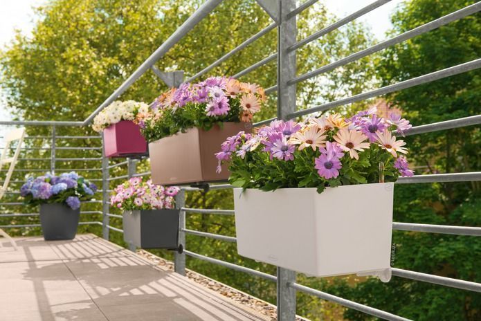 Розумний вазон з автополивом Lechuza BALCONERA Color 80 бежевий 15706 фото