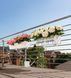 Розумний вазон з автополивом Lechuza BALCONERA Color 80 бежевий 15706 фото 10