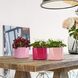 Вазон Lechuza CUBE Glossy 14 вишневий блискучий 13514 фото 4