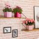 Вазон Lechuza CUBE Glossy 14 вишневий блискучий 13514 фото 5