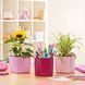 Вазон Lechuza CUBE Glossy 14 вишневий блискучий 13514 фото 6