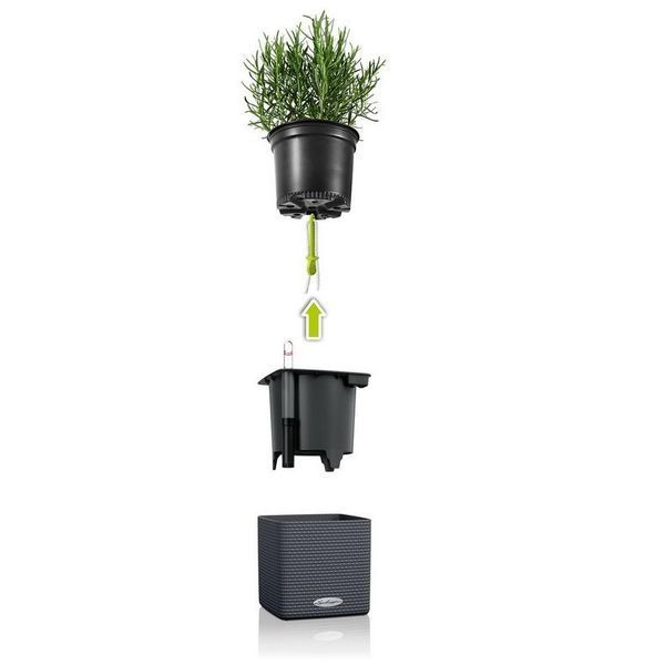 Розумний вазон з автополивом Lechuza Green Wall Home Kit Color сірий 13399 фото