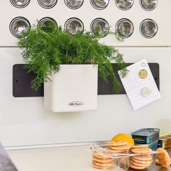 Розумний вазон з автополивом Lechuza Green Wall Home Kit Color сірий 13399 фото