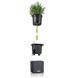 Розумний вазон з автополивом Lechuza Green Wall Home Kit Color сірий 13399 фото 4