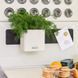 Розумний вазон з автополивом Lechuza Green Wall Home Kit Color сірий 13399 фото 5