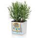 Розумний вазон з автополивом Lechuza Green Wall Home Kit Color сірий 13399 фото 6
