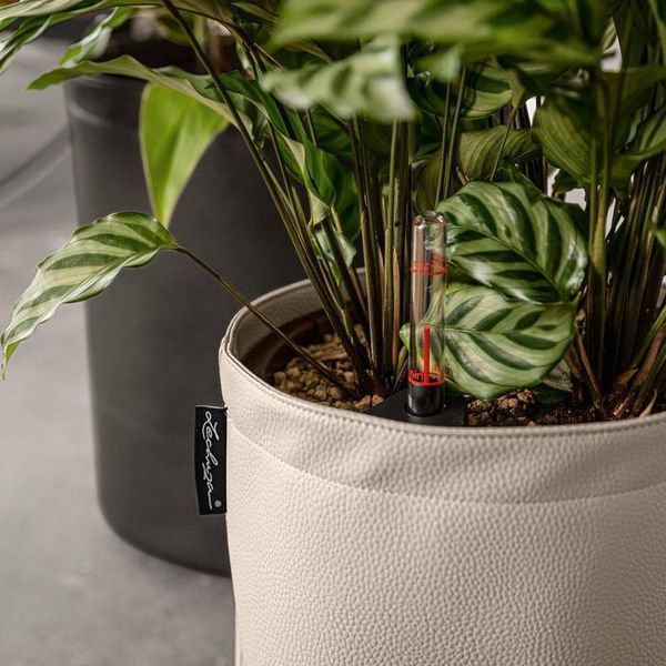 Розумний вазон з автополивом Lechuza TRENDCOVER 32 Vegan Leather антрацит 14195 фото